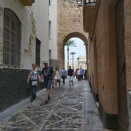 Oda ve Kahvaltı Atico Centro Pet Friendly