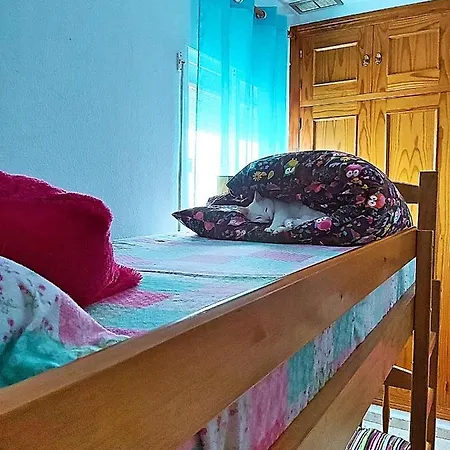 Atico Centro Pet Friendly * Cadiz